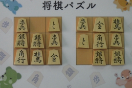 人に自慢したくなる 将棋道具にまつわる5つの雑学 盤駒編 株式会社いつつ 人に自慢したくなる 将棋道具にまつわる5つの雑学 盤駒編 株式会社いつつ