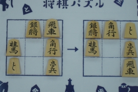 初心者向け 実戦に役立つ将棋の格言 王 玉編 株式会社いつつ 初心者向け 実戦に役立つ将棋の格言 王 玉編 株式会社いつつ