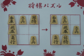 知らなかった 将棋駒のひみつ5つ 株式会社いつつ