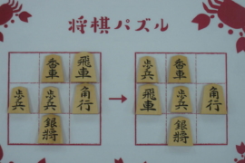 知っているとかっこいい将棋のお作法 株式会社いつつ 知っているとかっこいい将棋のお作法 株式会社いつつ