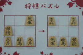 初心者向け 実戦に役立つ将棋の格言 王 玉編 株式会社いつつ 初心者向け 実戦に役立つ将棋の格言 王 玉編 株式会社いつつ