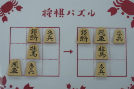 人に自慢したくなる 将棋道具にまつわる5つの雑学 盤駒編 株式会社いつつ 人に自慢したくなる 将棋道具にまつわる5つの雑学 盤駒編 株式会社いつつ